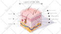 do professional medical illustrations