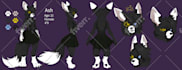 draw a reference sheet and art of your furry character