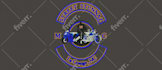 do embroidery digitizing logo for dst pes exp jef vp3 fast