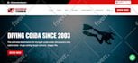 design and build a responsive wordpress website for your business