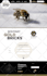 fix develop php website and custom wordpress website design