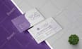 design a professional flyer, brochure, and poster