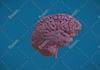 create a 3d model from your ct or mri dicoms
