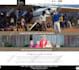 do wordpress website development, design or redesign wordpress blog