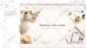 create high converting shopify digital products store