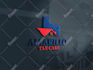 design a professional brand logo design