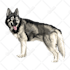 draw minimalist realistic pet vector art