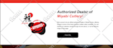 build squarespace website design, redesign squarespace website development, duda
