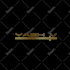 design a luxury and modern logo