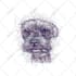 draw your pet into awesome scribble art