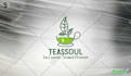 do a premium logo design within 24 hrs