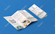 design brochure, trifold, catalog, magazine, flyer