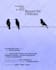 create a professional unique minimal movie poster