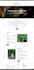 do any wordpress website development and design