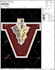 convert your file into embroidery digitized dst format