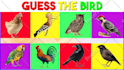 create quiz, trivia, and riddle questions videos for youtube