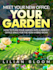 design a professional ebook cover