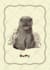 create a custom pet portrait, dog, cat, in a charming style
