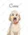 draw pet portrait with disney style