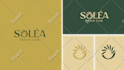 create luxury minimal brand identity guidelines, brand book, and branding