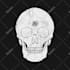 create vintage motorcycle skull illustration