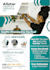 design professional cleaning service flyer, brochure in 6 hours