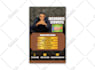 do professional business flyer design within 24hrs