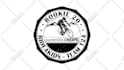 design professional 3d silver badge metallic logo