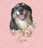 draw vector illustration cartoon dog cat pet potrait