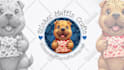 design dog grooming logo for your store