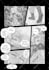 your professional high detail manga page or panels