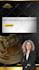 create eye catching social media design for your business
