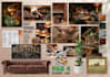 create luxury fashion mood boards, professional portfolio designs