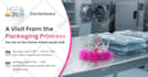 design facebook creative ad, instagram ads post, google ad designs
