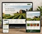 create wordpress website design, website development and business website