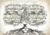 design personalized genealogy family tree poster