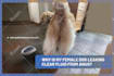 design featured blog post image