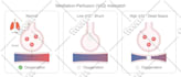 create scientific illustrations, diagrams and graphical abstracts