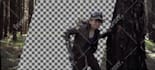 do vfx, rotoscoping, chroma keying professionally