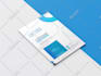 design white paper, company profile, brochure, business plan, PDF, report design