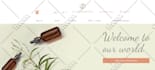 design a professional wix website for you
