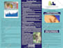 design a flyer, bifold, trifold, brochure, poster or leaflet