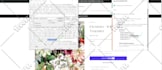 install facebook pixel, tiktok pixel and pinterest tag for conversion tracking