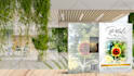 create amazing 3d book cover mockup in 25 different styles