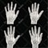 illustrate anything in hand drawn vector