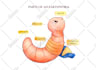 do watercolor illustrations for children book