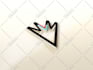 do professional vector tracing