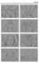 create industry standard professional storyboards