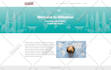 create modern and professional wordpress website