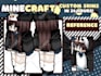 create a premium custom minecraft skin from scratch in 24hrs